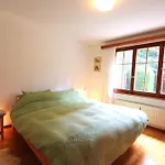Appartement Petit Pré A Château-d'Œx